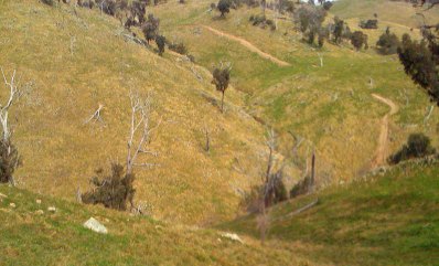 new road Benny's ridge