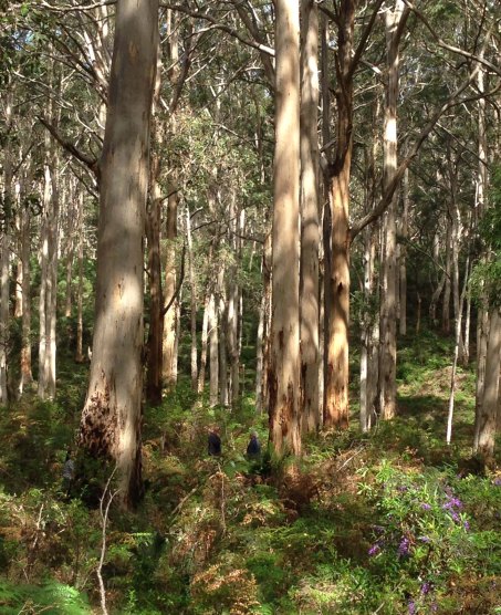 craig and Dave Coates