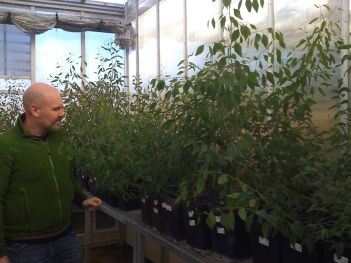 Jason and trees in hothouse