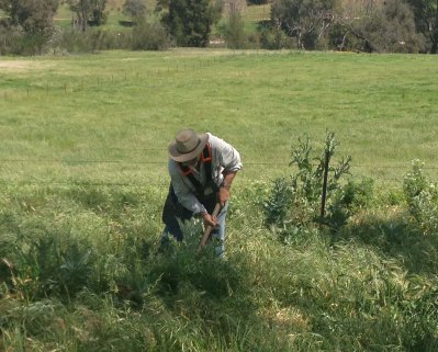 Craig and brushcutter