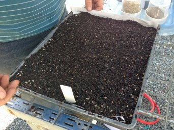 one tray ready to go