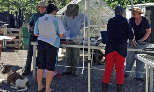 Propagation volunteers in action