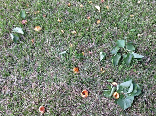 evidence of the crime