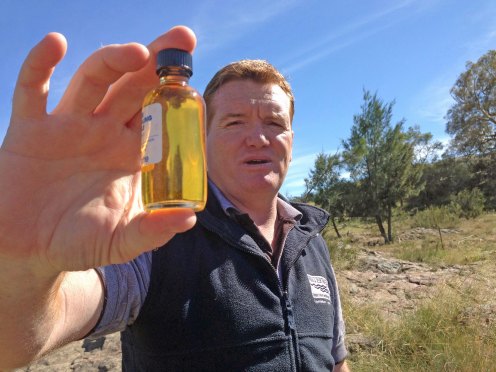 Damon and Dissolved Oxygen process