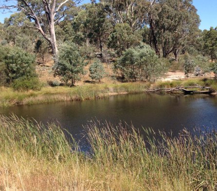 Gang Gang dam with vegetation 2