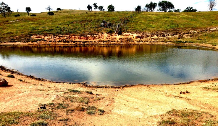 Hayshed gully dam 2