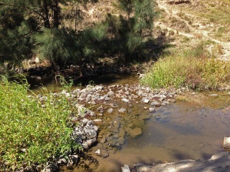 Mullion Creek sampling spot