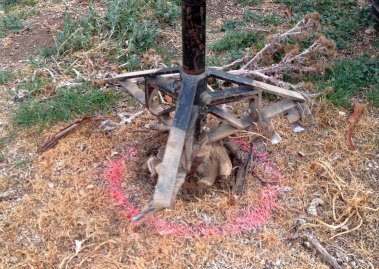 Auger and pink marking