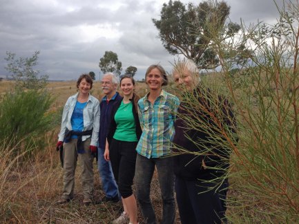 cattleyards maintenance team 2015