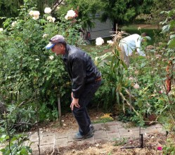 Easter egg hunt in vege garden