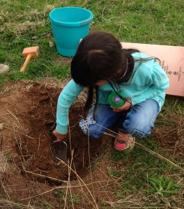 Laila planting 2