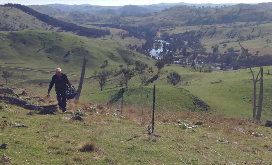 Frank and temporary fence