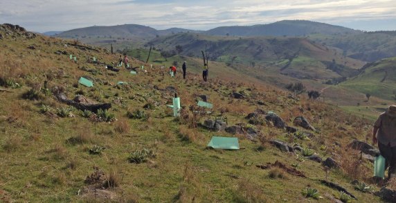 green army at top of hill
