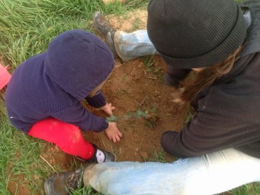 planting big and little