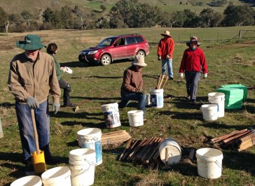 a sea of buckets and forest of stakes