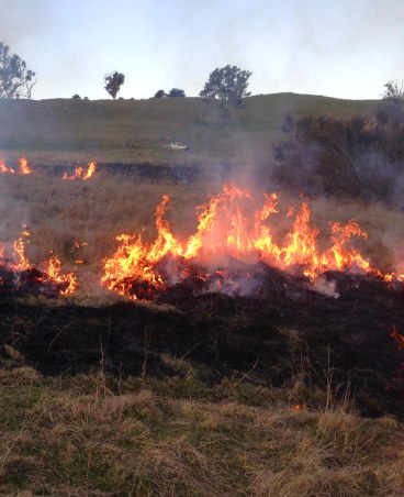 burning in WOPR paddock2