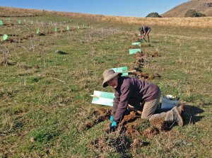 everyone gets a furrow