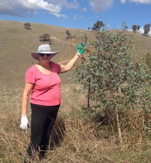 Georgia and 2yo eucalypt