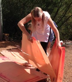 sorting torn covers for burrow flaps 2