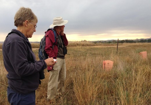 COG survey Sue Lashko Chris Davey Carkella large