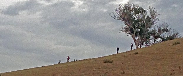 Walking down the hill 1