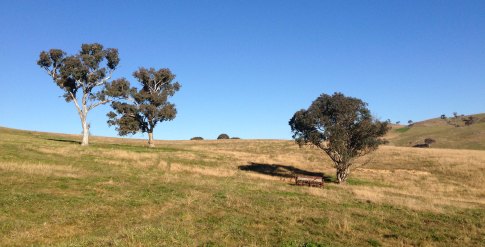 whole paddock with combine 2014