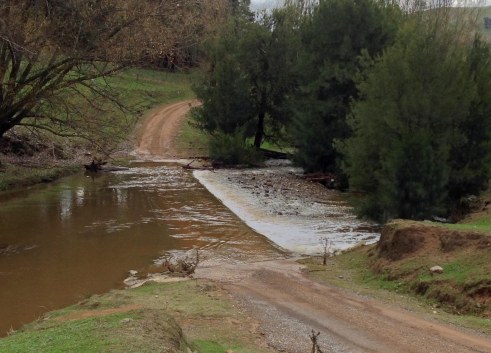 Mullion Creek lizard crossing in flood