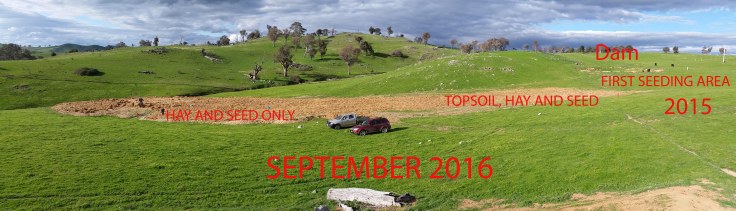 Panorama planting Sept 2016