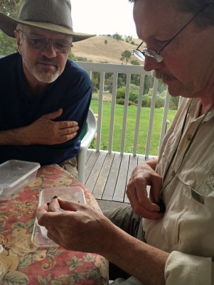 Craig and Kip identifying beetles.jpg