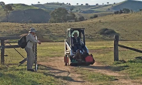 Bobkitten returns victorious