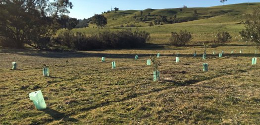 Checking the WOPR paddock 2017 2
