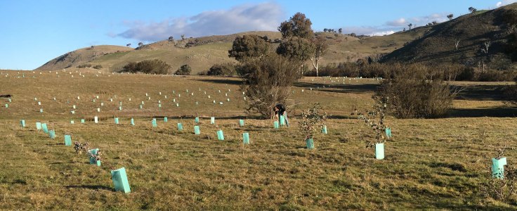 checking the WOPR paddock 2017