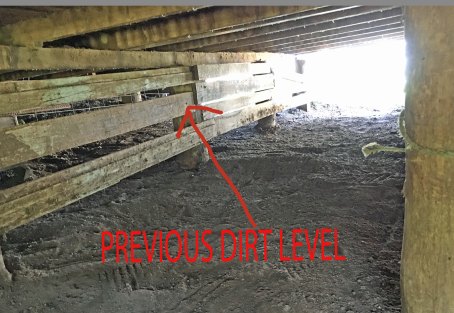 light at end of woolshed tunnel