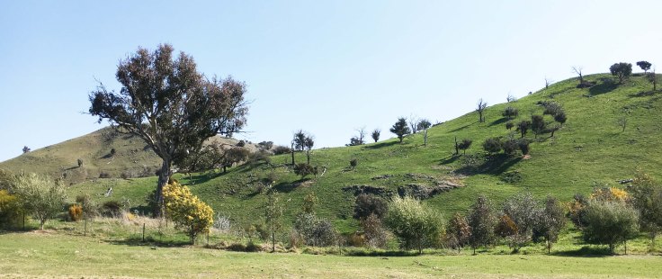 Georgias patch sept 2017 3