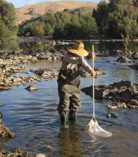 wading in the water 2.jpg